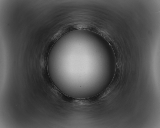 X0000086780763200705041528