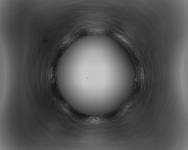 X0000086780764200705041528