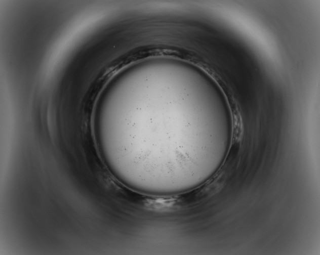 X0000086780765200705041528