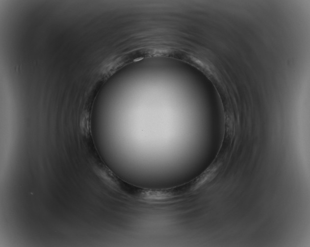 X0000086780766200705041528