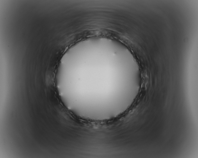 X0000086780770200705041527