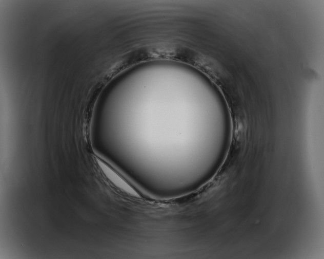 X0000086780772200705041527