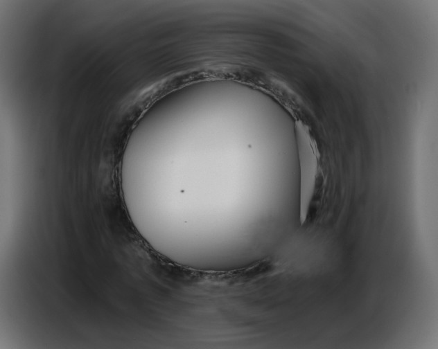 X0000086780773200705041527