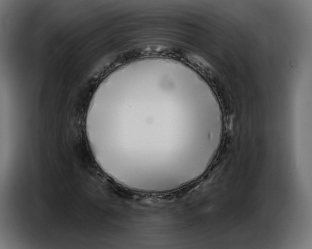 X0000086780774200705041527