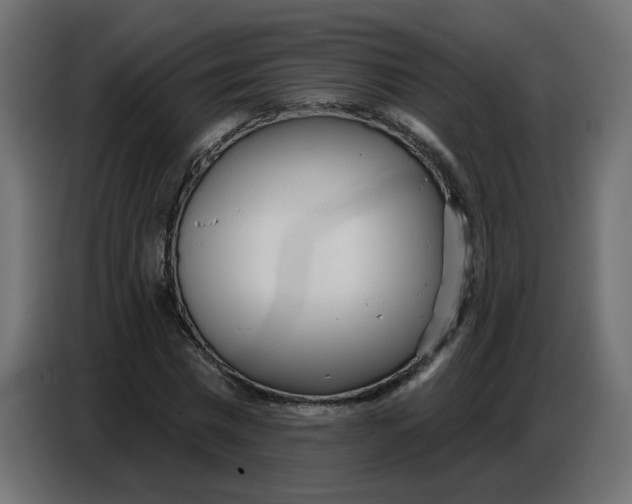 X0000086780777200705041527