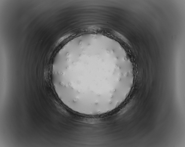 X0000086780778200705041527