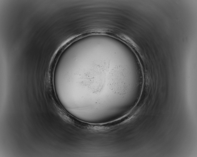 X0000086780779200705041527