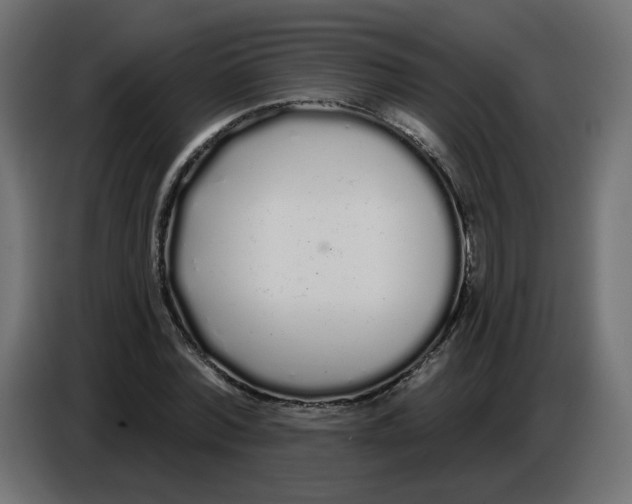 X0000086780780200705041527