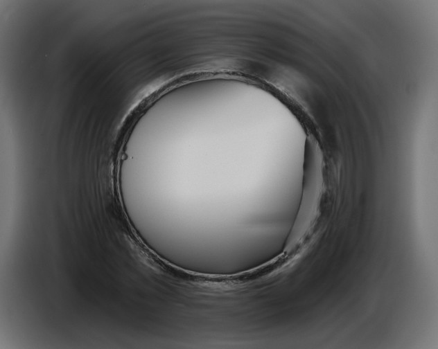 X0000086780781200705041527