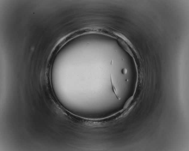 X0000086780783200705041527