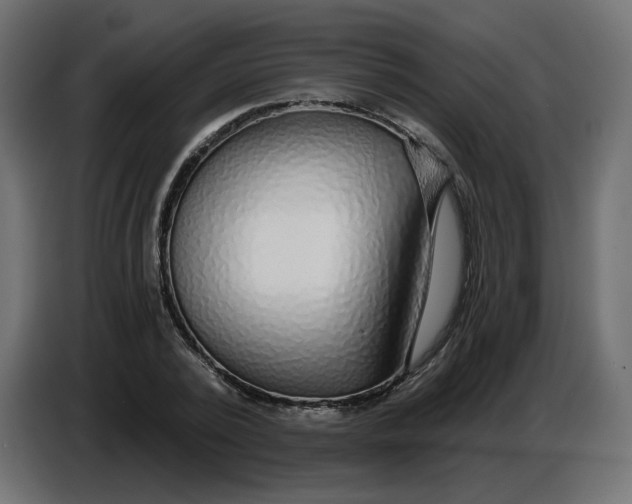 X0000086780784200705041527