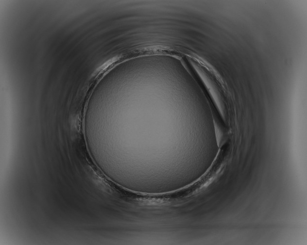 X0000086780785200705041527