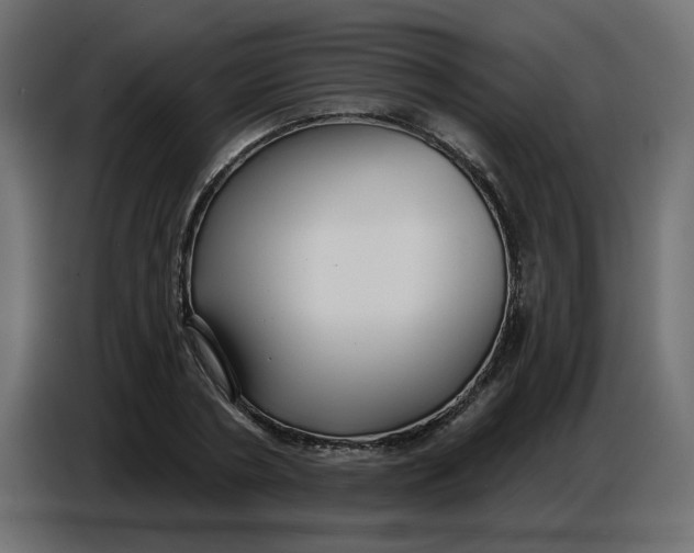 X0000086780786200705041527