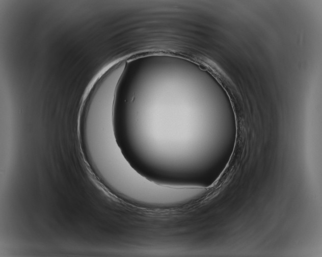 X0000086780788200705041527