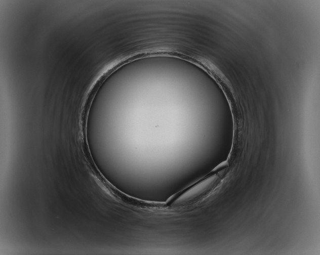 X0000086780789200705041527