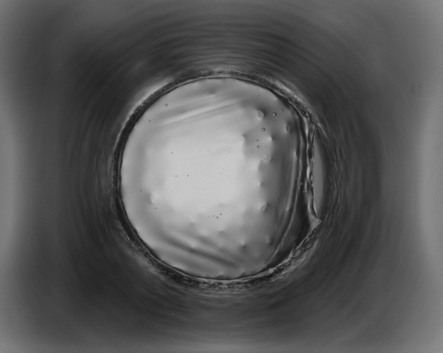 X0000086780790200705041527