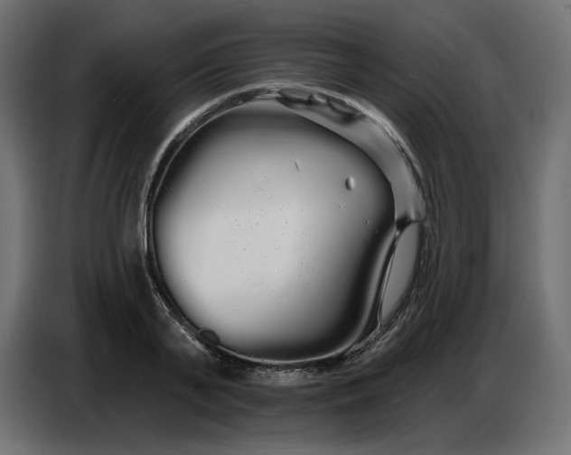 X0000086780791200705041527