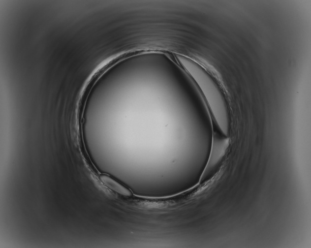 X0000086780792200705041527