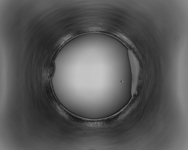 X0000086780793200705041527