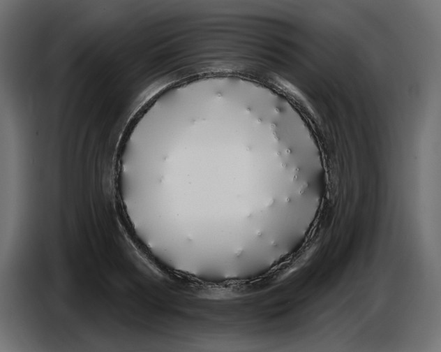 X0000086780794200705041527