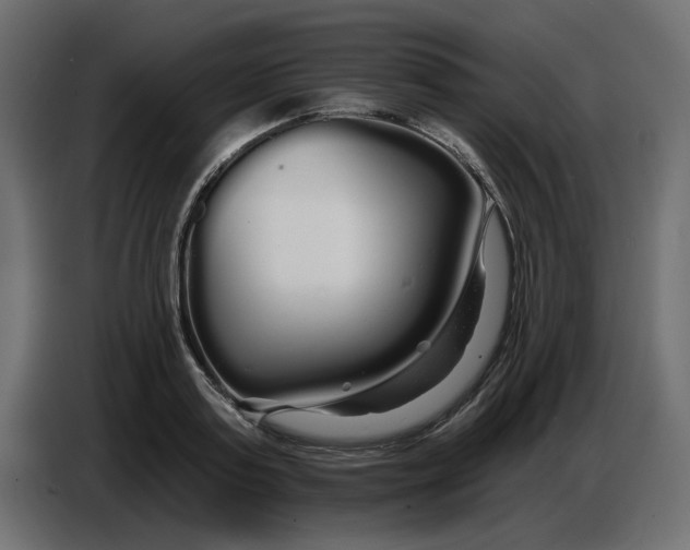 X0000086780795200705041527