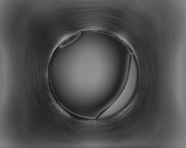 X0000086780797200705041527