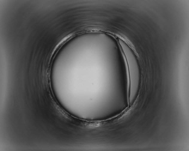 X0000086780798200705041527