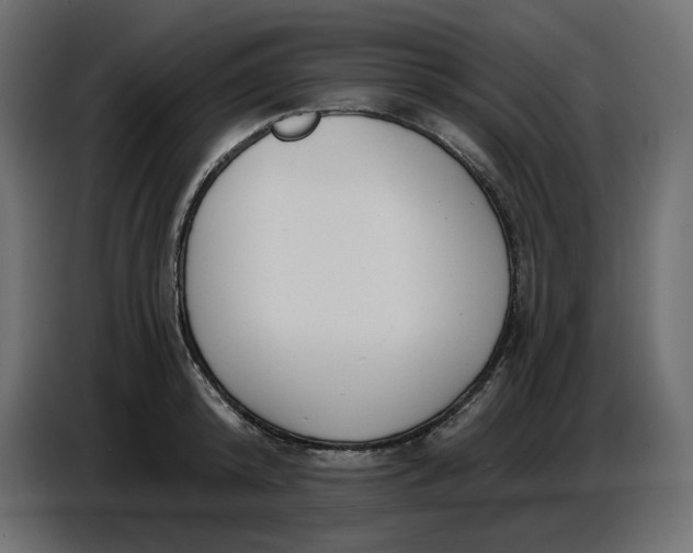 X0000086780800200705041527