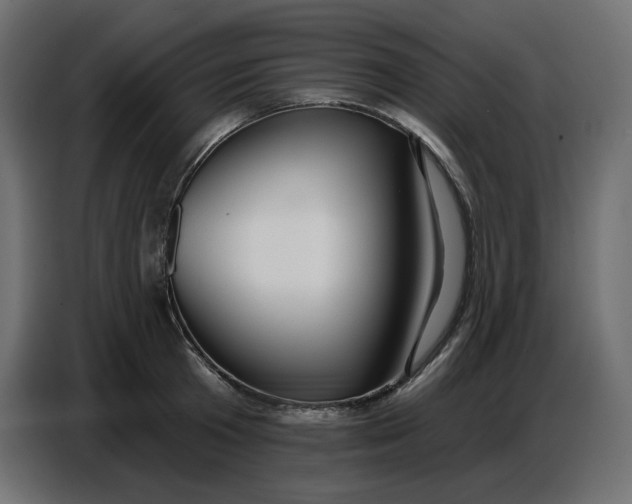 X0000086780801200705041527