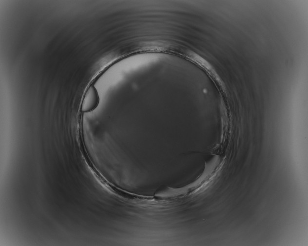 X0000086780802200705041527