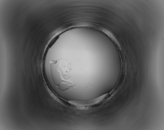 X0000086780805200705041527