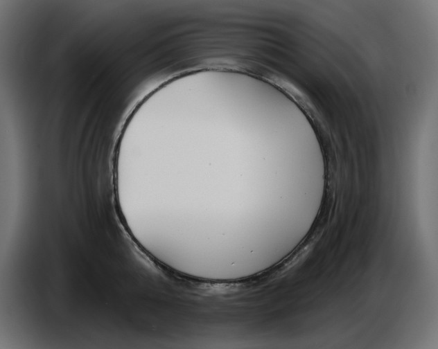 X0000086780808200705041527