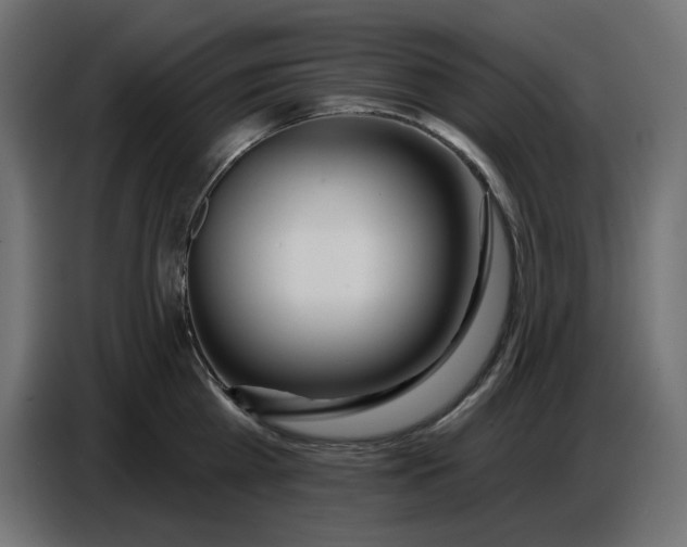 X0000086780809200705041527