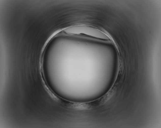 X0000086780811200705041527