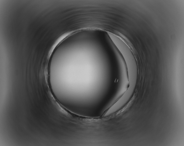 X0000086780812200705041527