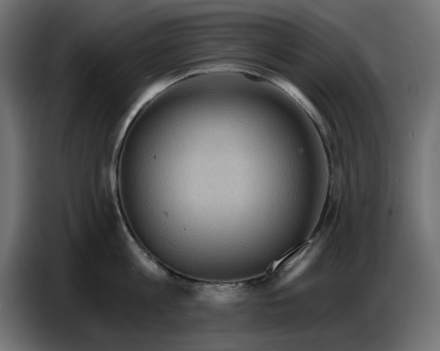 X0000086780813200705041527