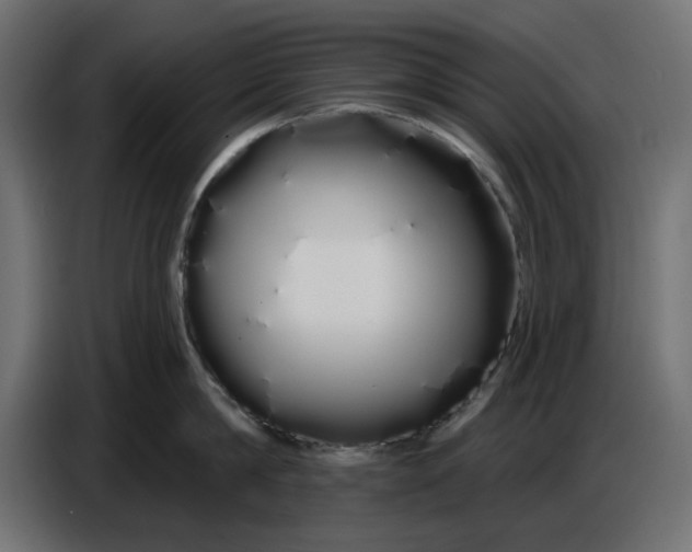 X0000086780814200705041527