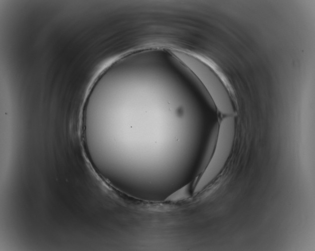 X0000086780815200705041527