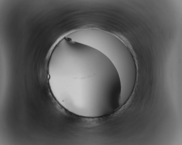 X0000086780816200705041527