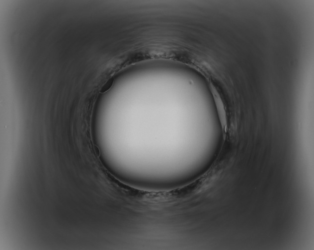 X0000086780817200705041526