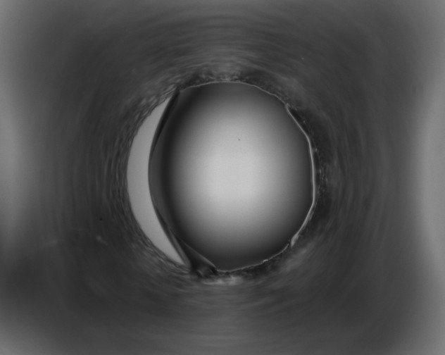 X0000086780818200705041526