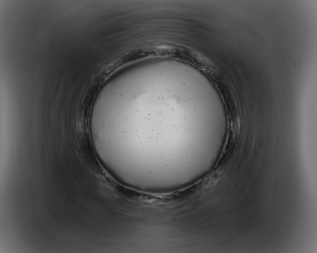 X0000086780819200705041526