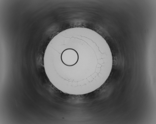 X0000086780820200705041526