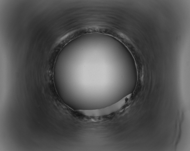 X0000086780822200705041526