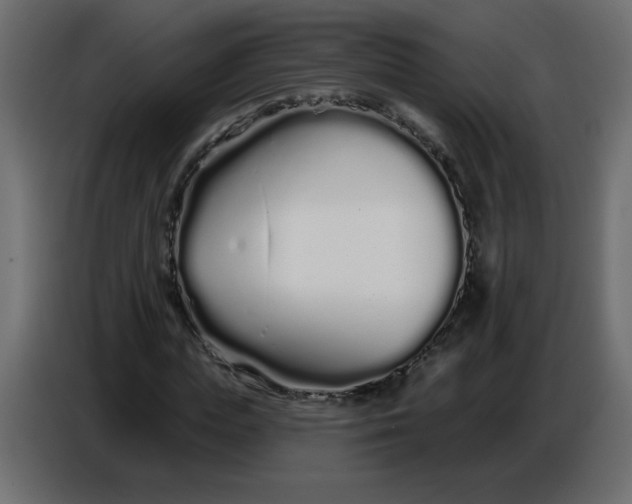 X0000086780823200705041526