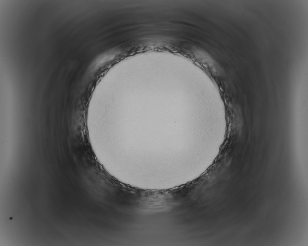 X0000086780824200705041526