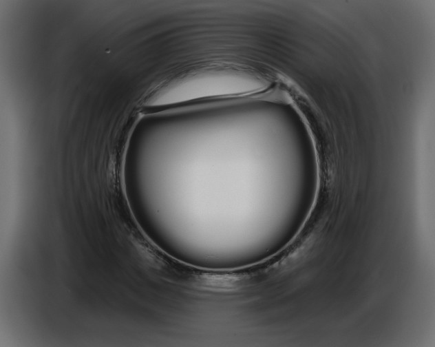 X0000086780825200705041526