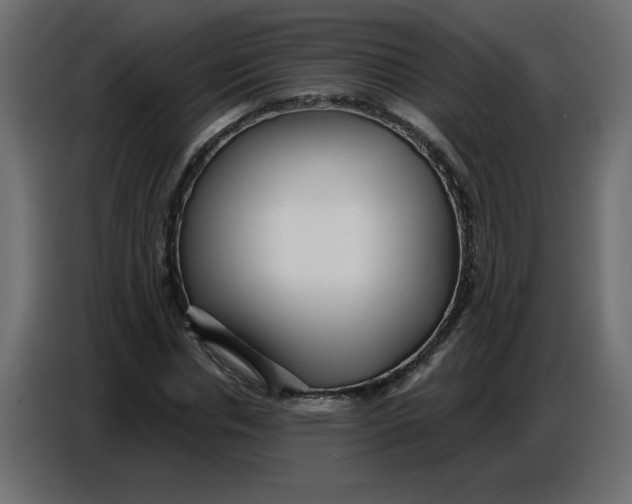 X0000086780826200705041526