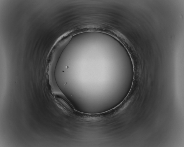 X0000086780830200705041526