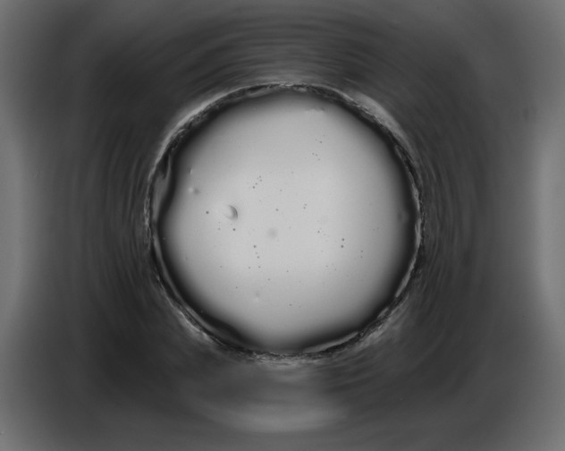 X0000086780831200705041526